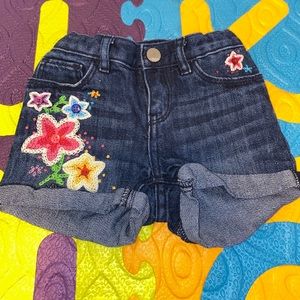 Baby Gap Embroidered Shorts (2 Years)